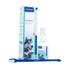 CLORDENT 120 ML